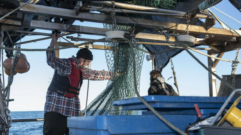 2020 08 EMMA JONES parsonsking DSC 0126 copy