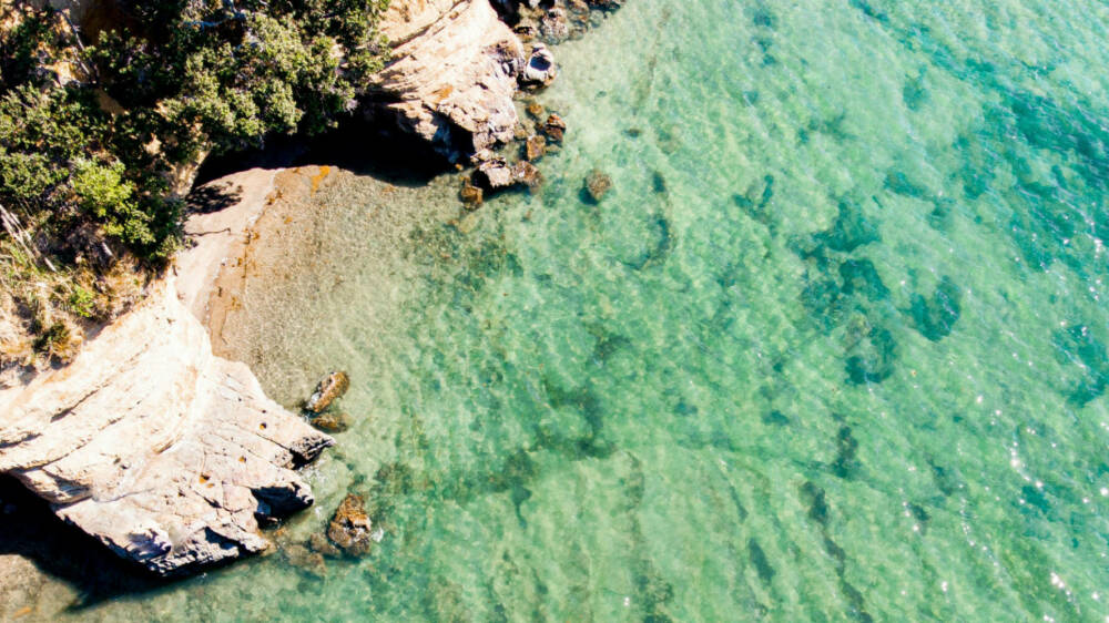 CREDIT Greg Lois Nunes Unsplash greg lois nunes unsplash Whangaparoa