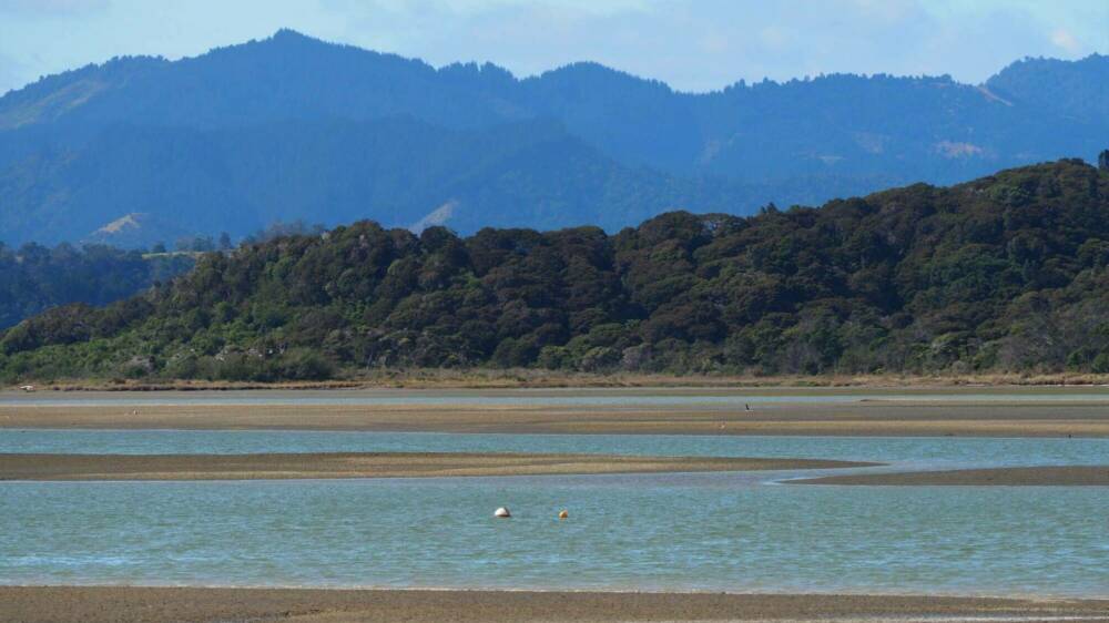Ecological responses to cumulative effects CREDIT Charlotte Panton Sustainable seas National Science Challenge