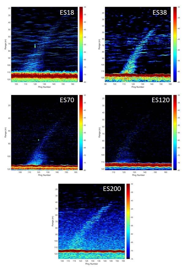 Figure 6 multifrequencyechograms