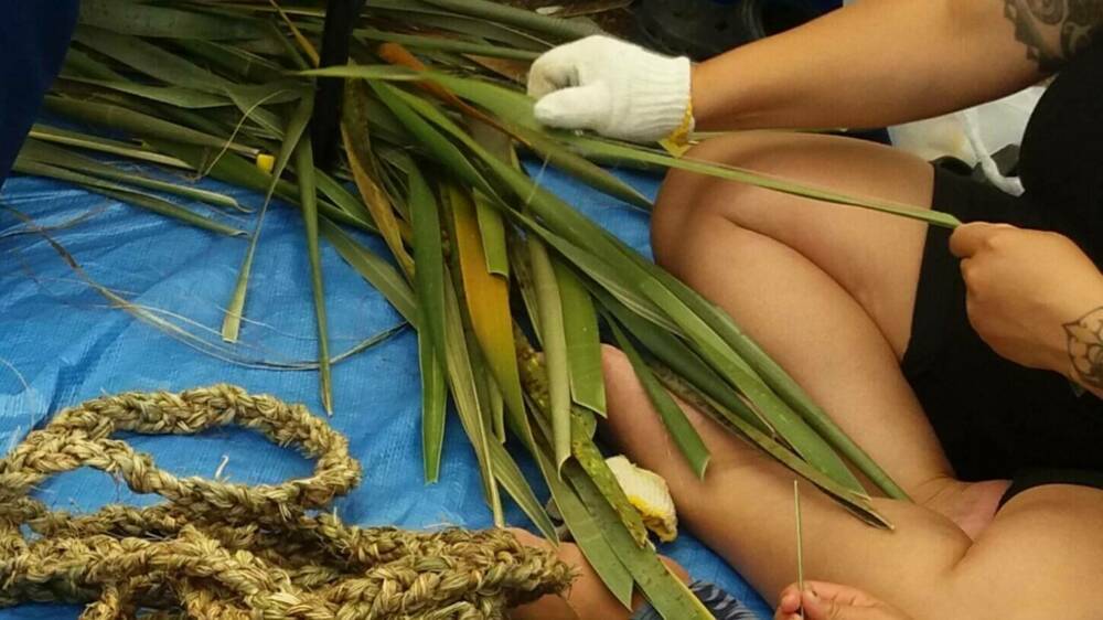 Kohunga Kutai CREDIT Ngāti Manuhiri Settlement Trust