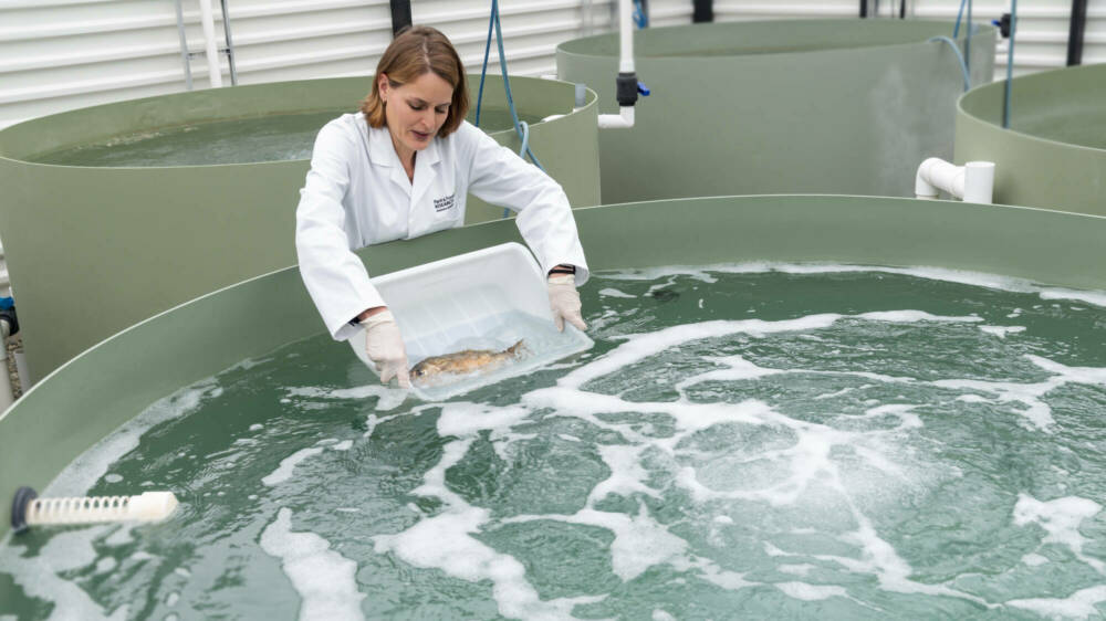 Maren Wellenreuther DSC4324 Edit