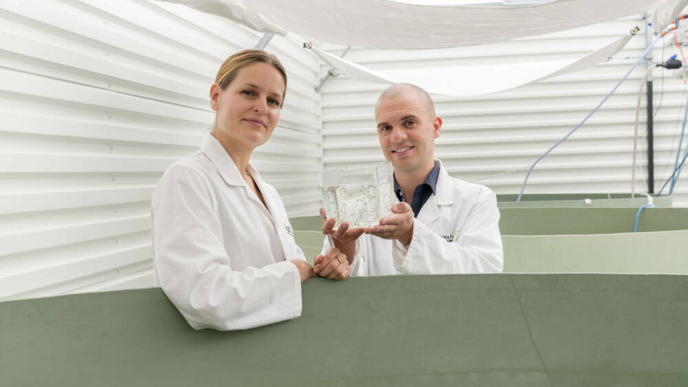 Matt Wylie trevally DSC2410