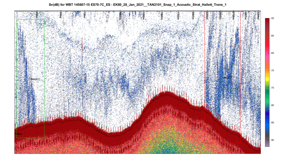 Microsoft Teams image