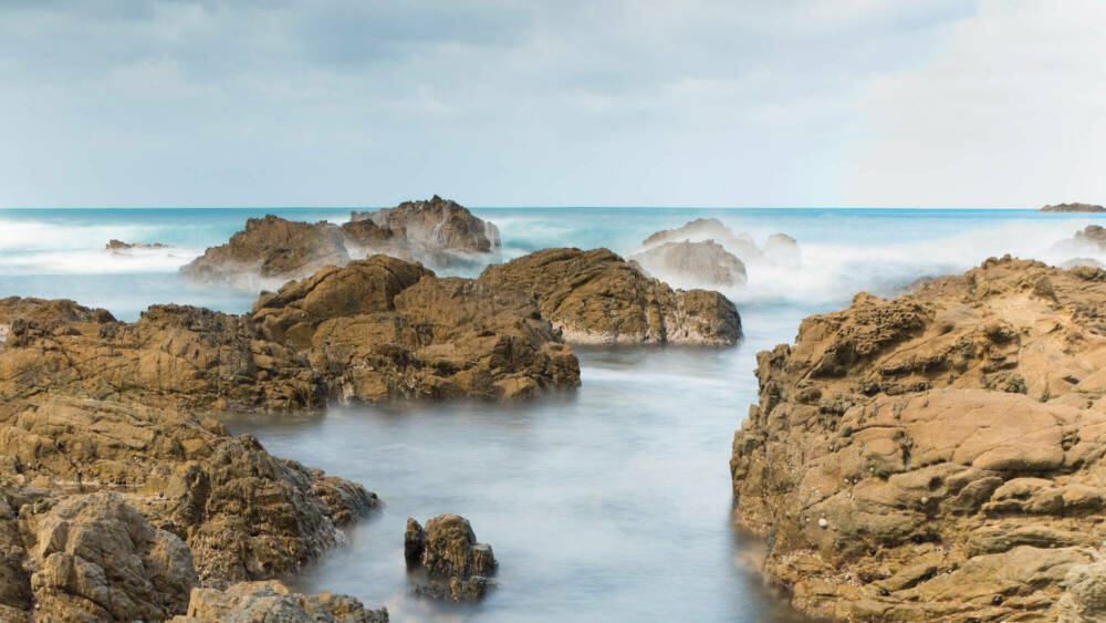 PAGE 28 wellington south coast credit dave allen NIWA