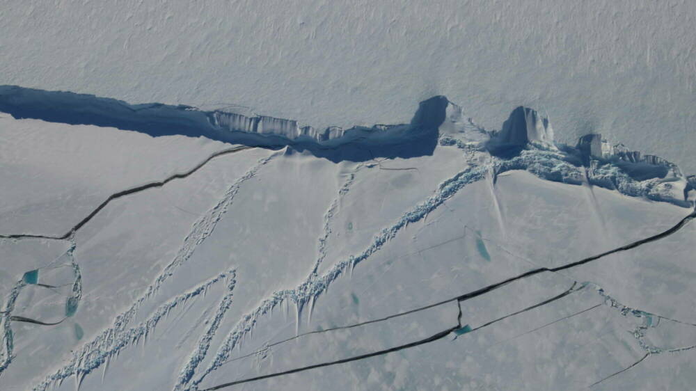 Project 1 hero Fiona Shanhun 201104 004115