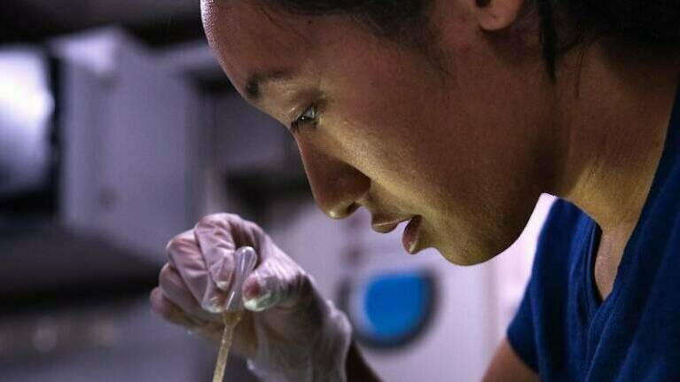 Schmidt ocean institute