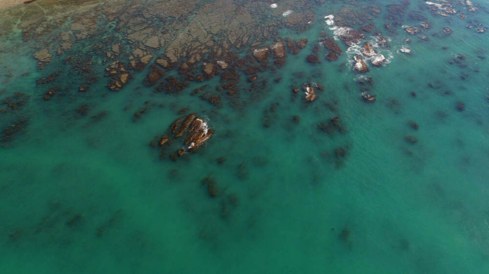 Te Tāhuhu Matatau: Empowering kaitiaki of Tangaroa