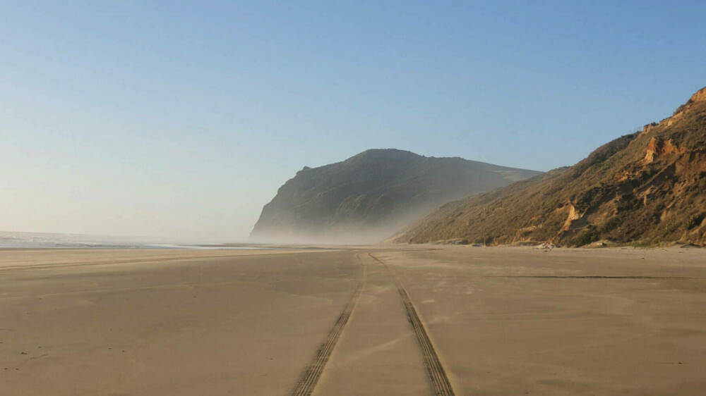 Toheroa aquaculture CREDIT Taoho Patuawa
