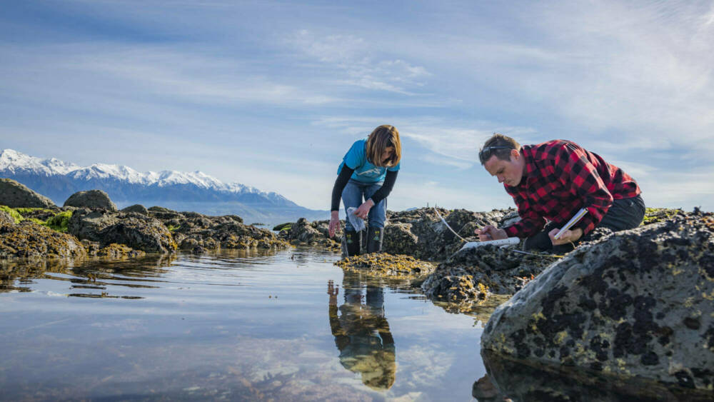 Kaikoura survey DSC1788 credit dave allen NIWA