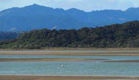 Ecological responses to cumulative effects CREDIT Charlotte Panton Sustainable seas National Science Challenge