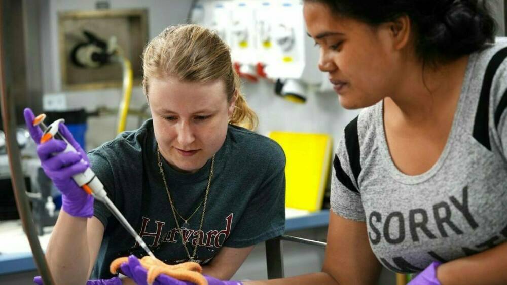 FK210605 20210608 Anna Annamare Sea Star Olsen 0734 1140x762