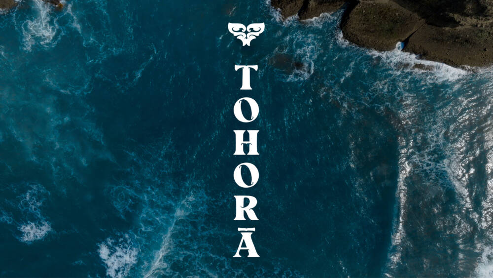 Tohorā Logo 16x9 1