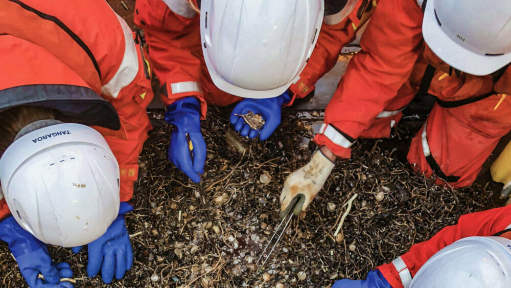 Epibenthic sled IMG 0418 credit sarah searson