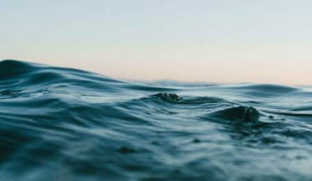 Matt hardy 6 Ar T Tluciu A unsplash