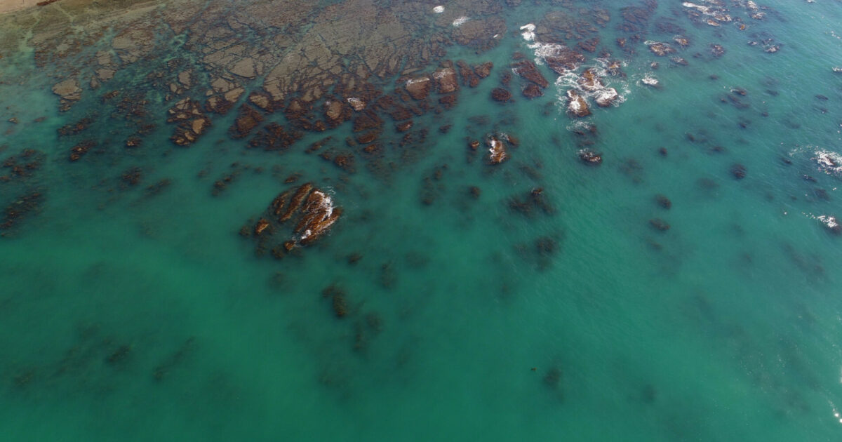 Te Tāhuhu Matatau: Empowering kaitiaki of Tangaroa