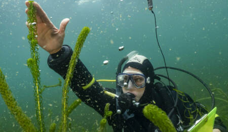 Tracey burton lake rotoma DSC1509 credit rod budd NIWA
